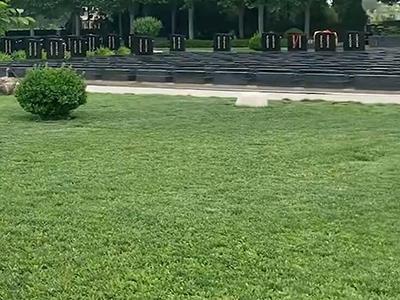 案例展示
